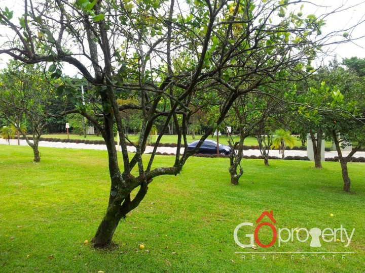 Venta de lote en Naranjo, Alajuela